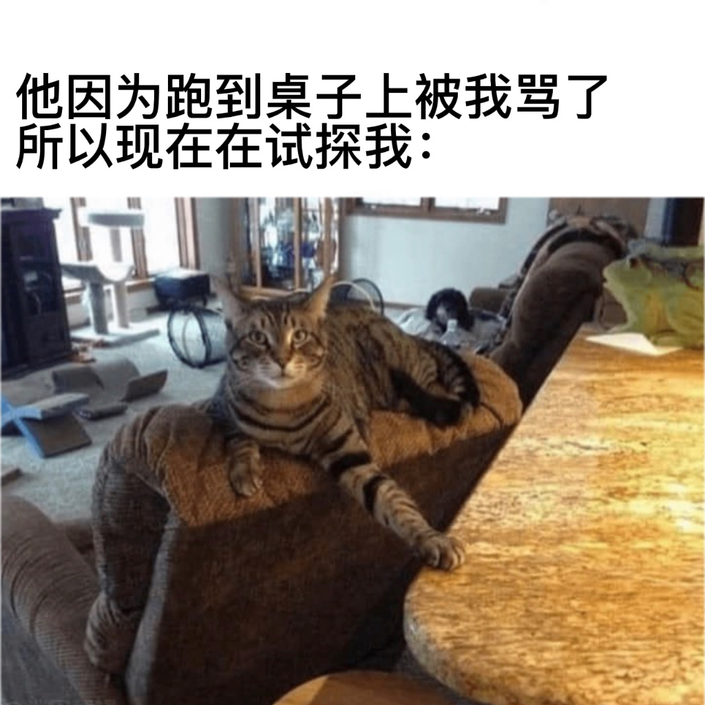 底线一直后退#今日memes##趣过夏天# ​​​