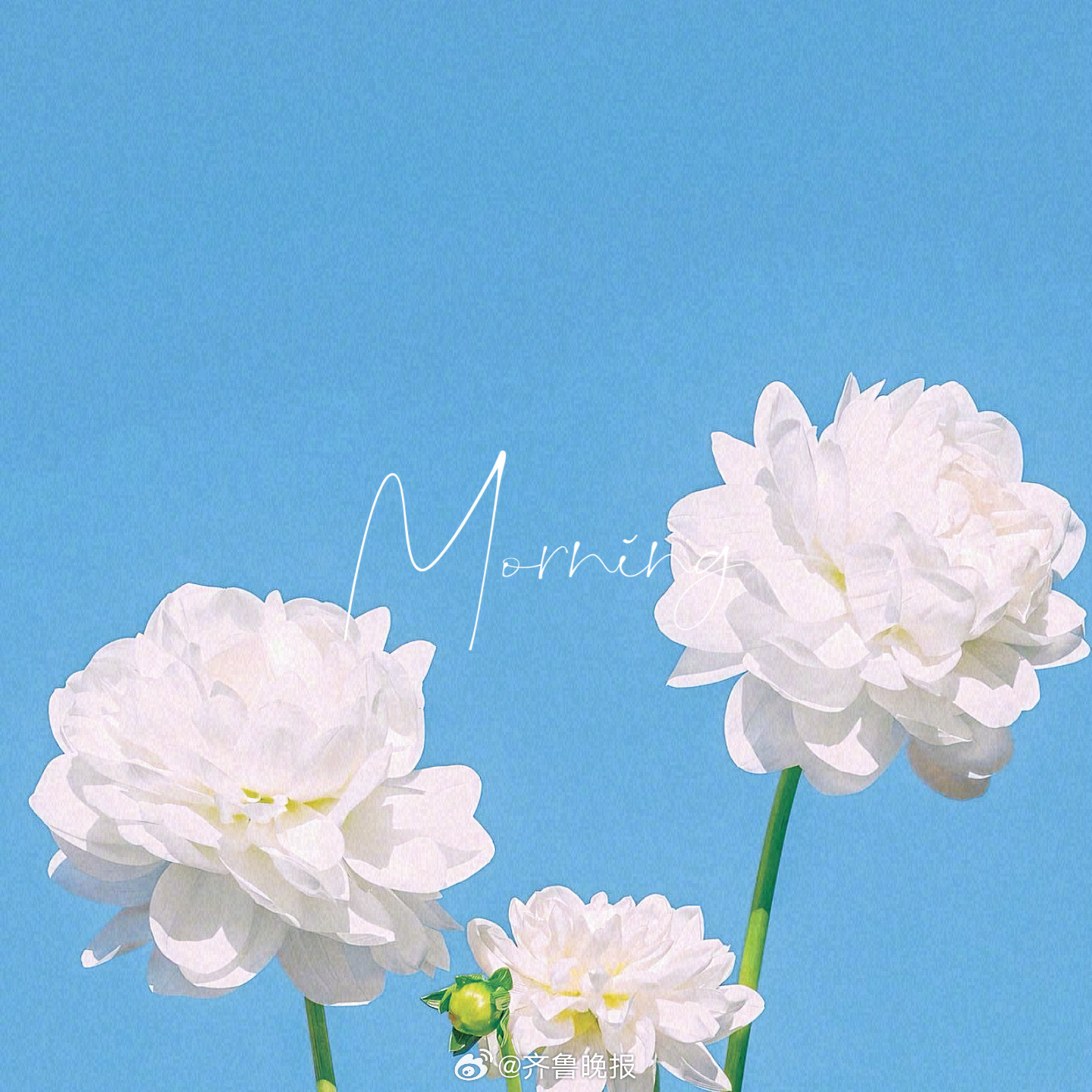 看淡了得失才有闲心品尝幸福[太阳] #早安# ​​​