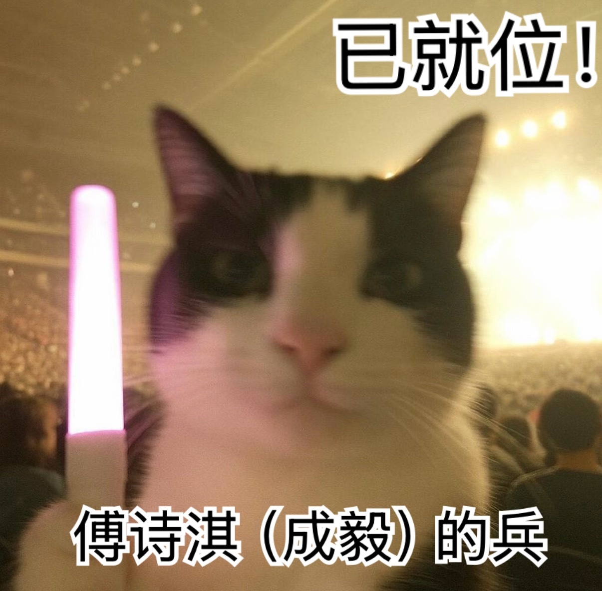 八月 我这下是真没空陪你闹了 