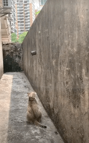 在绝对实力面前，所有的技巧都等于零！[捂脸]