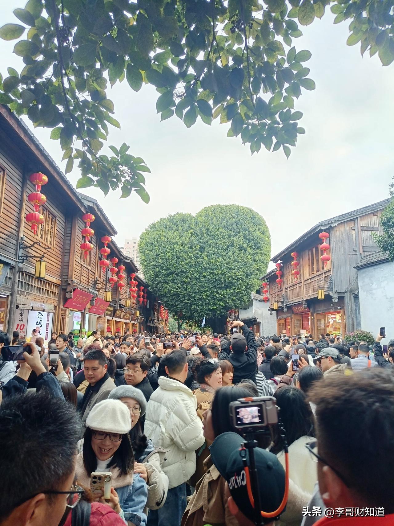 今年春天最想实现的心愿