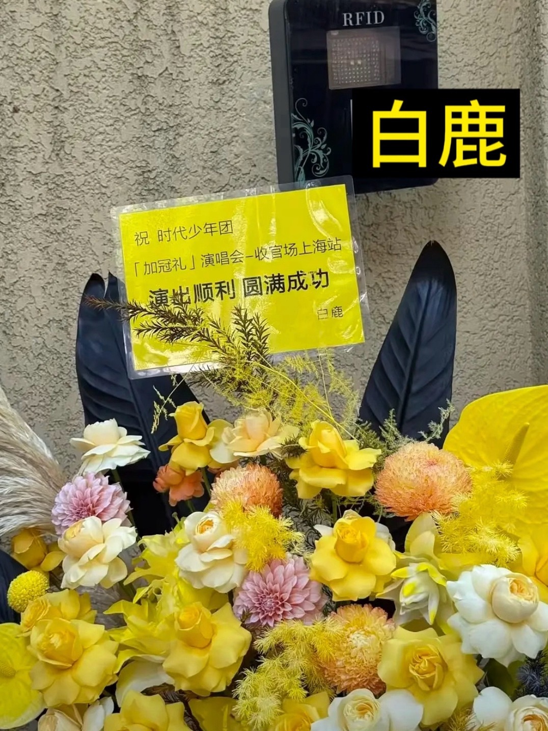 小女孩送了花篮对朋友一直很真诚