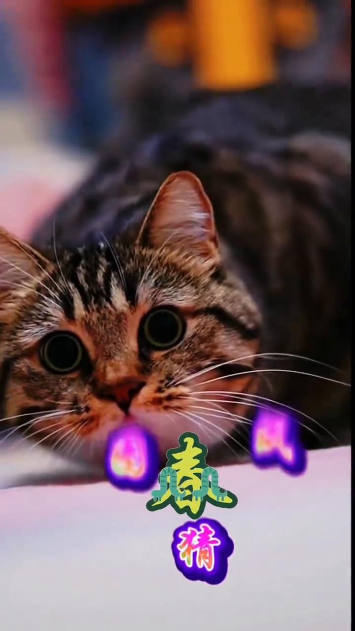 看图猜成语。
看图精成语。