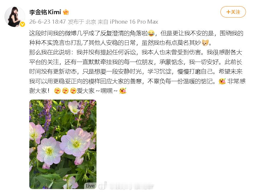 李金铭再回应李金铭称未提起诉讼也未曾受到伤害 李金铭回应：“我并没有提起任何诉讼