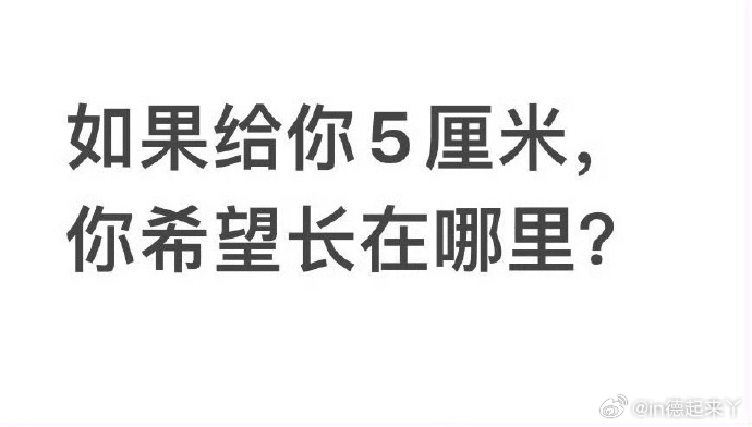 如果给你5厘米，你希望长在哪里？