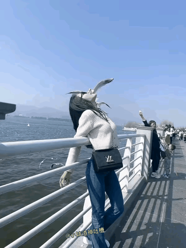 喂鸟创意值得点赞