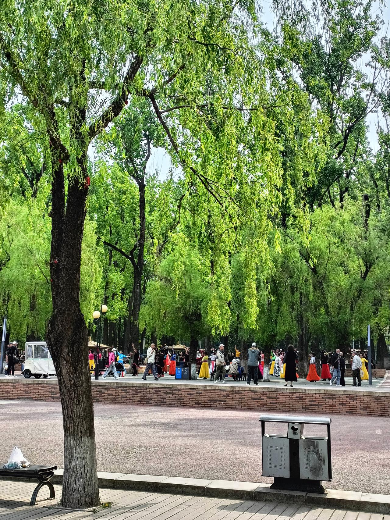 这篇文章深刻阐述了人生三大智慧：择善而交、择良而伴、择贵而随。人与善者为伍，能净