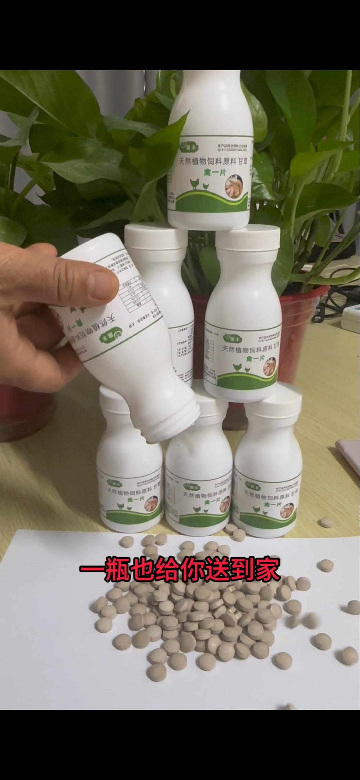 喂一片，一年四季都好养