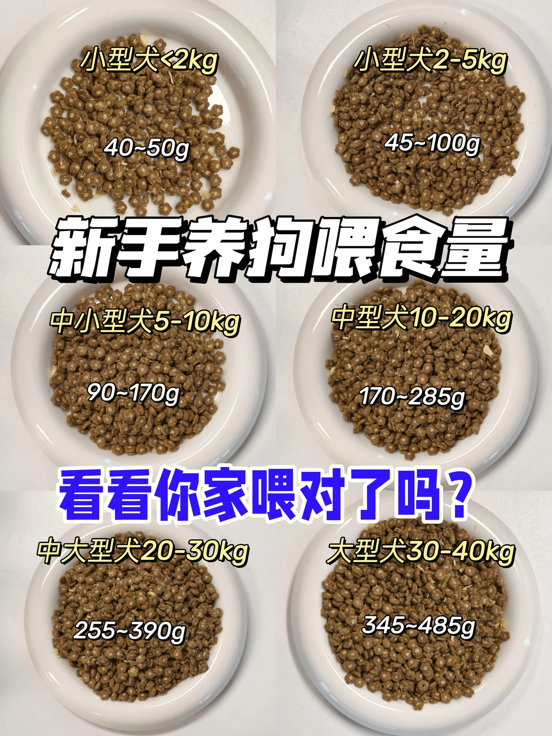 新手养狗人必看！选对狗粮有多重要！