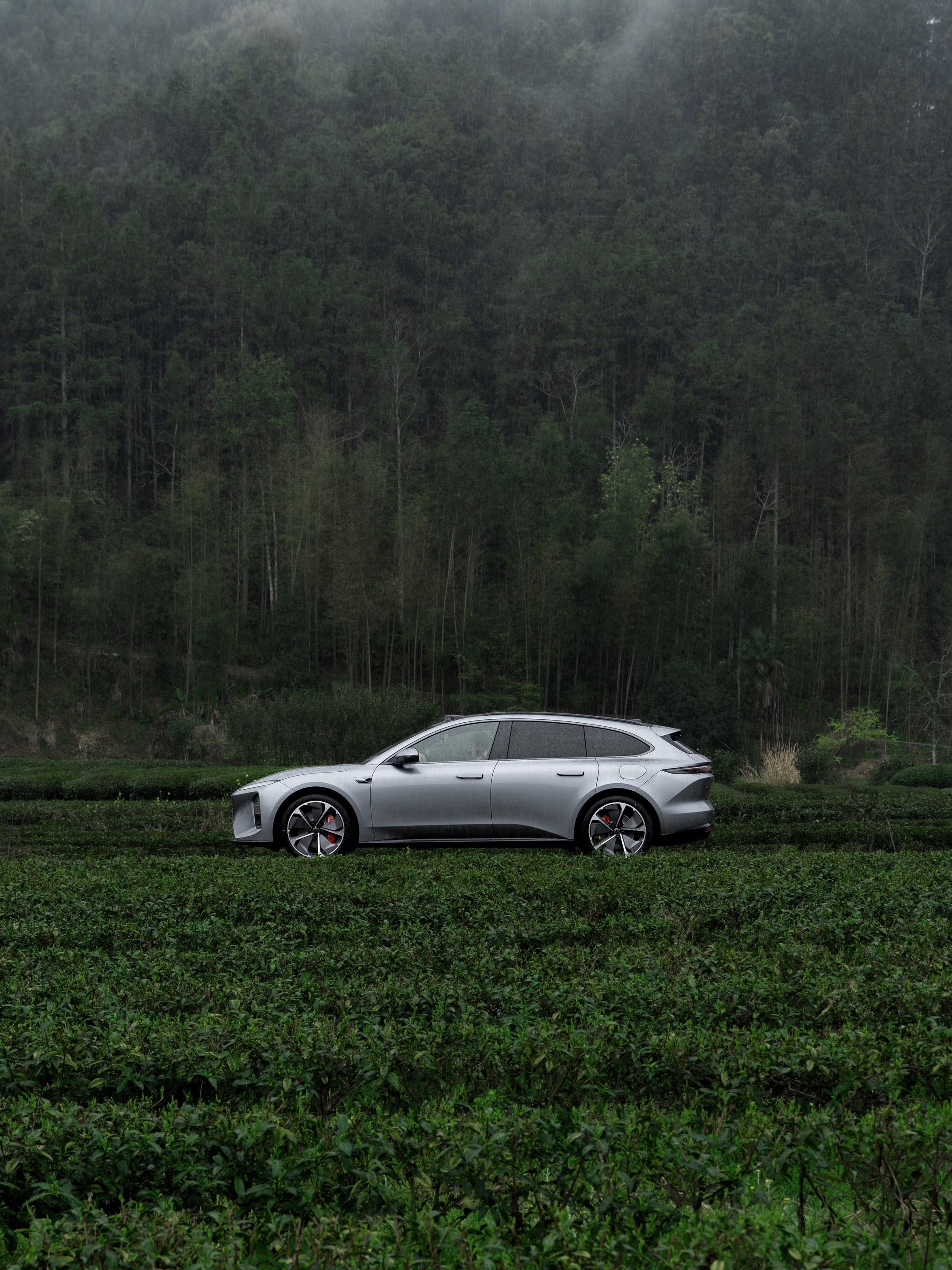 云雾是山的呼吸，茶尖是春的私语。