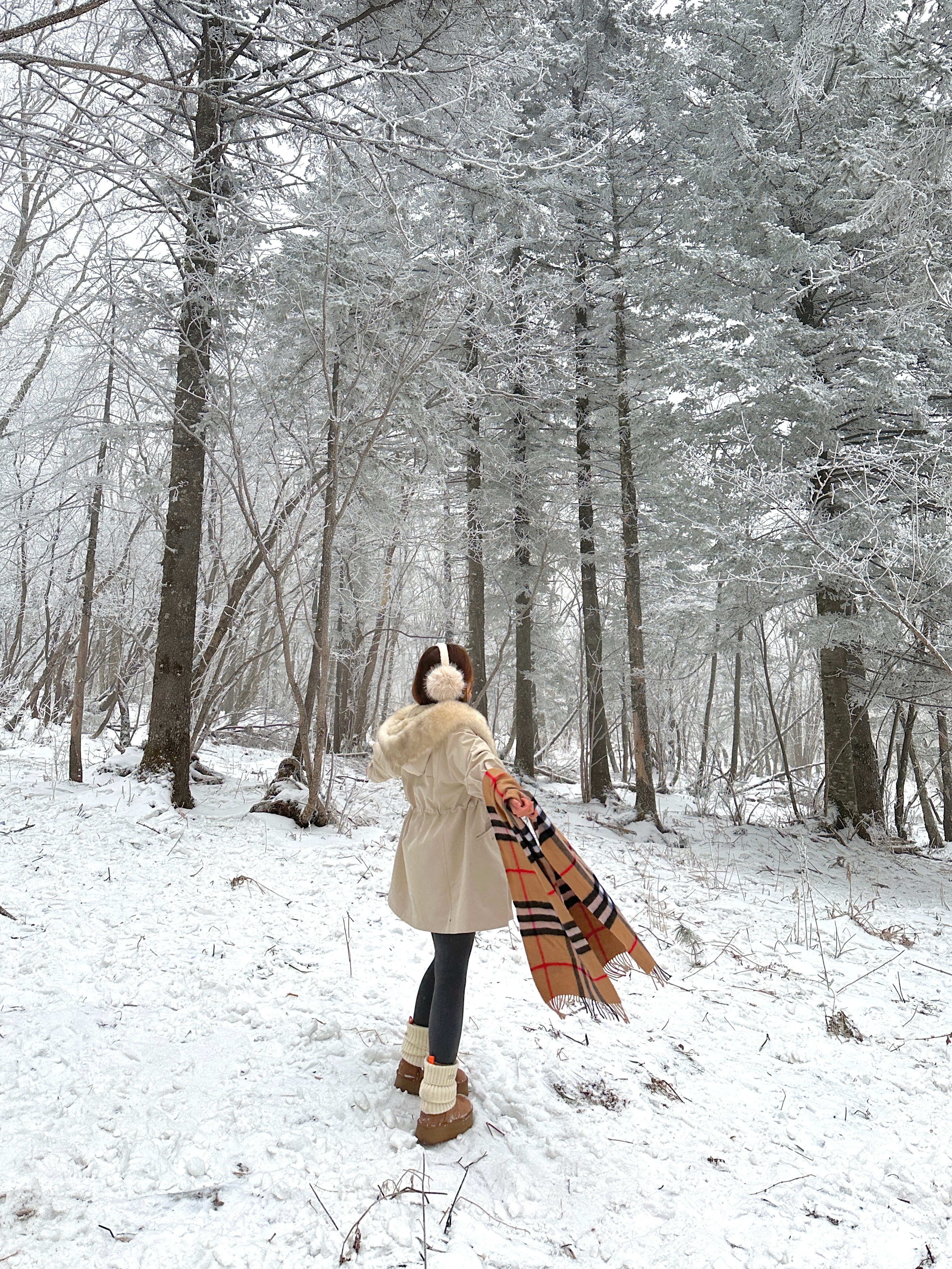 闯进纳尼亚的入口 延边