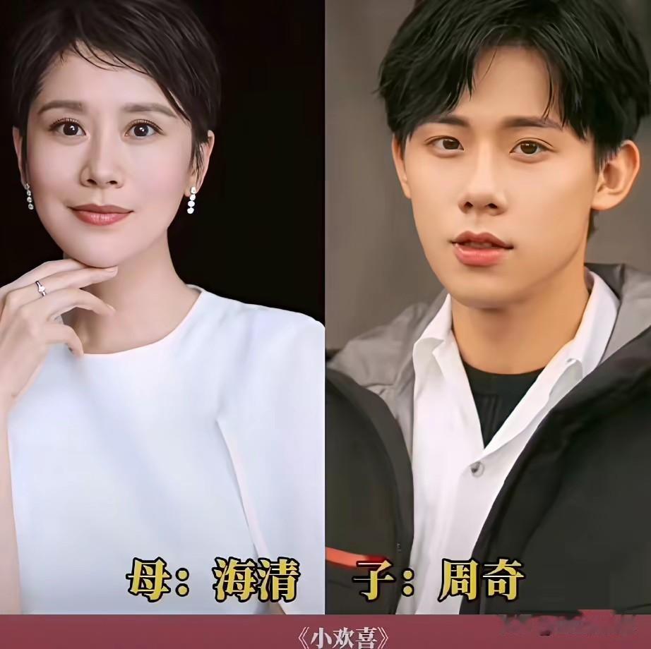 荧幕母子搭档，海清周奇相似度拉满，两人在《小欢喜》中饰演母子，初次同框出镜，不少