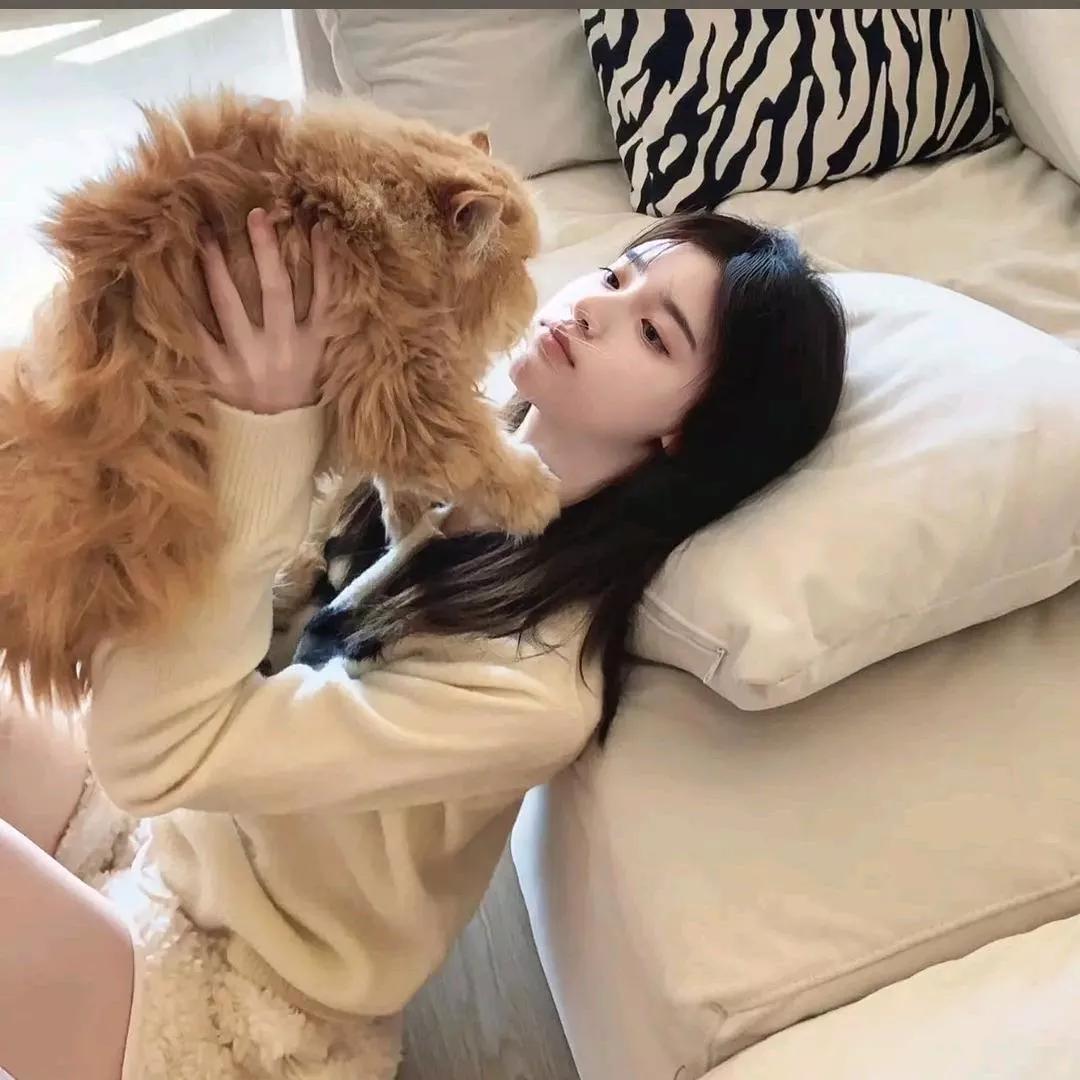 和我的胖橘猫一起度过慵懒的周末时光😌橘猫 橘猫治愈系列 橘猫猫猫 憨憨大橘猫 