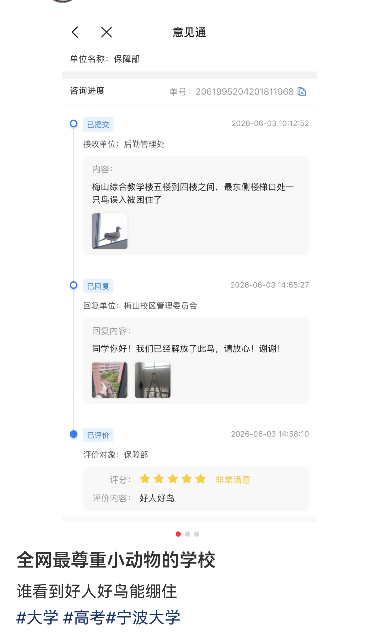 全网最尊重小动物的学校