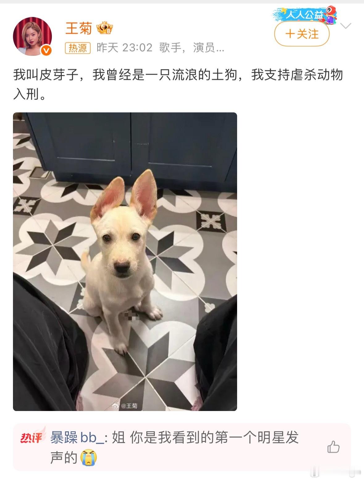 王菊为被虐杀的小动物发声明星又发声了 