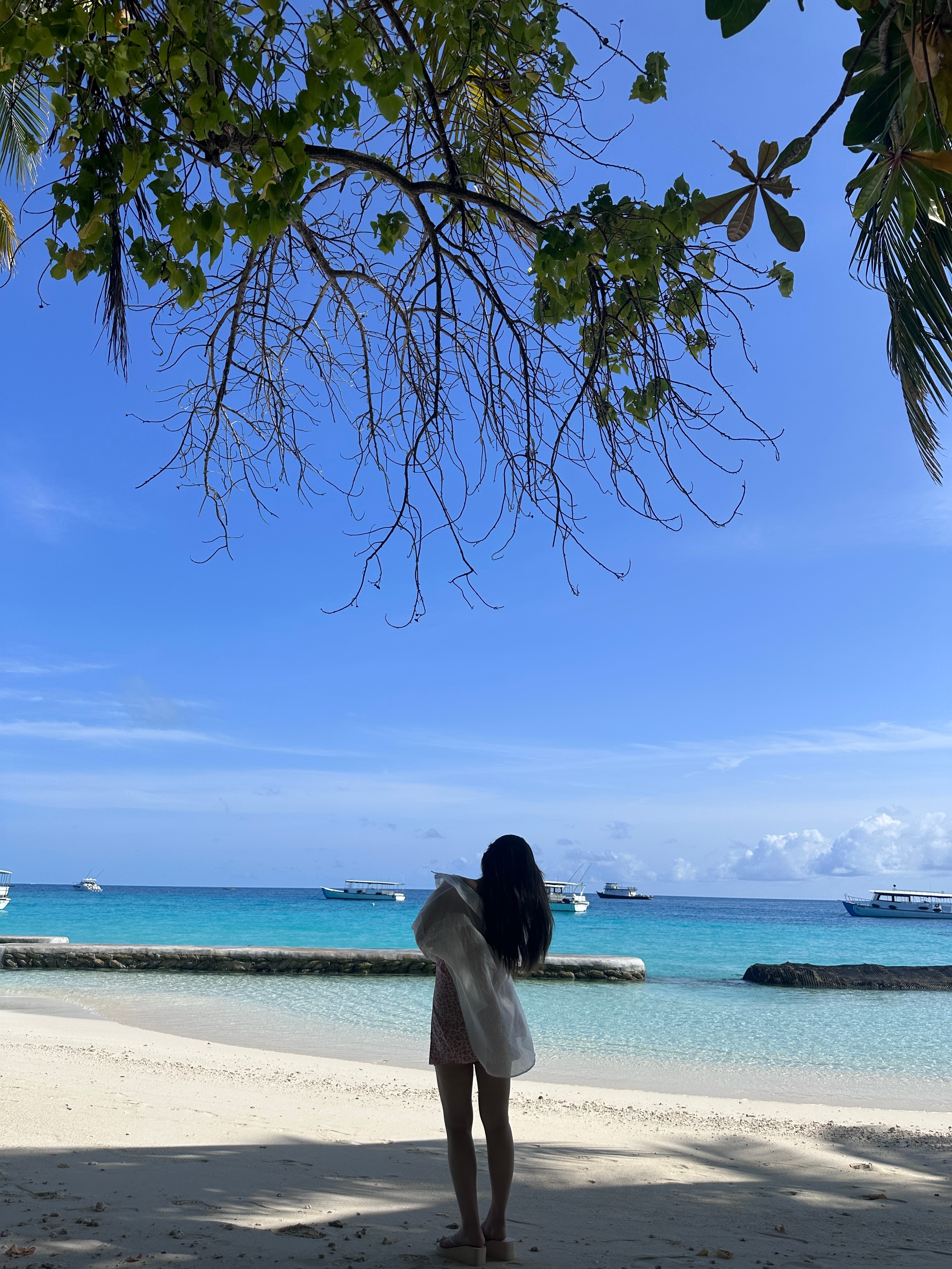 海岛浮潜日记 带妈妈来旅游 浮潜碰到小鲨鱼！超级开心  ​​​