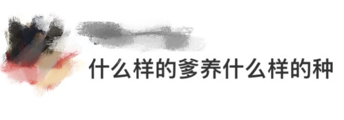 什么样的爹养什么样的种  礼宗旭真是坏得令人发指！不顾百姓的水深火热，躲在后方转