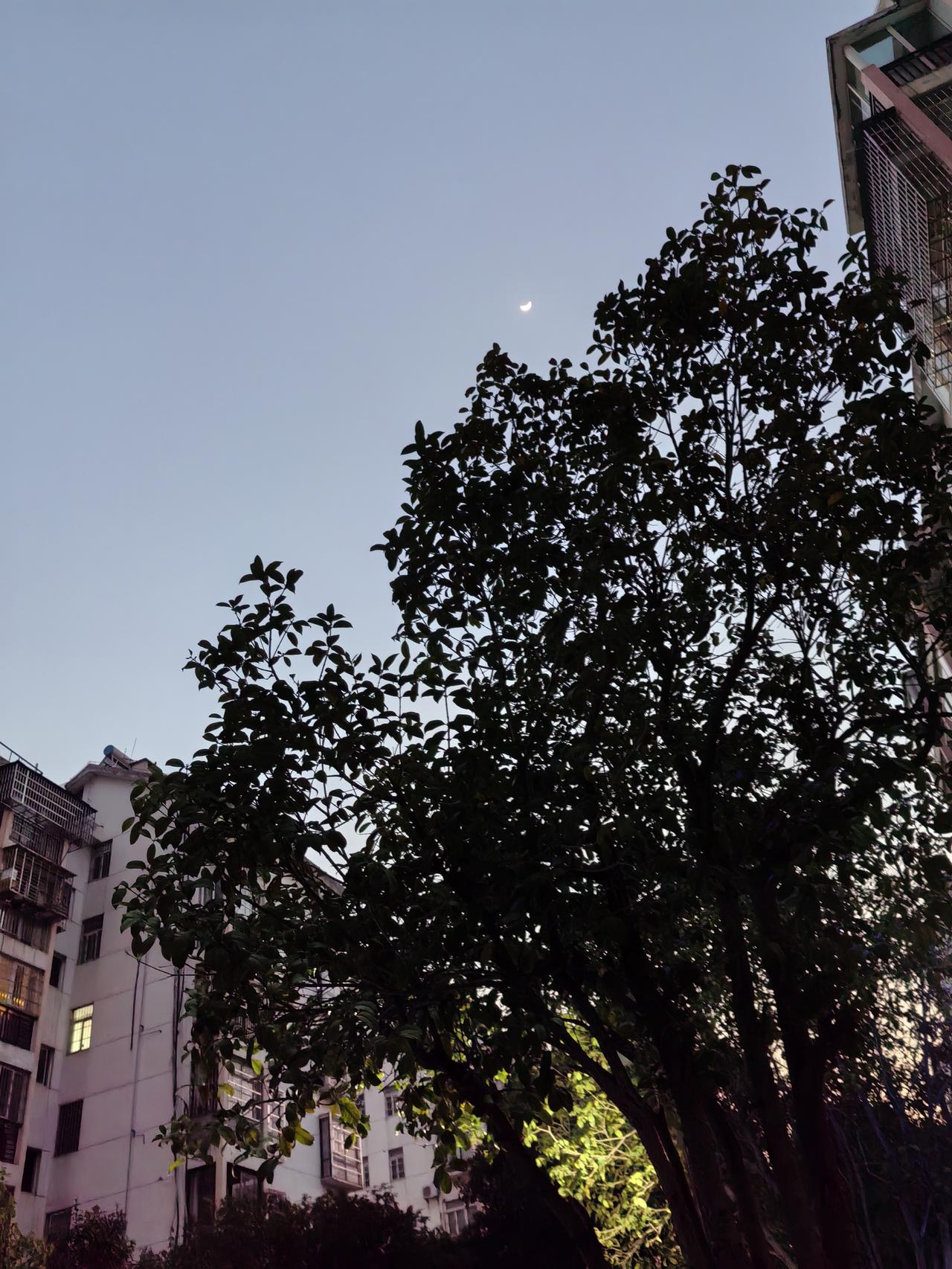 新年到，爱好打卡正当时！好多人都在朋友圈晒新年爱好打卡清单，蓝精灵这一经典IP简