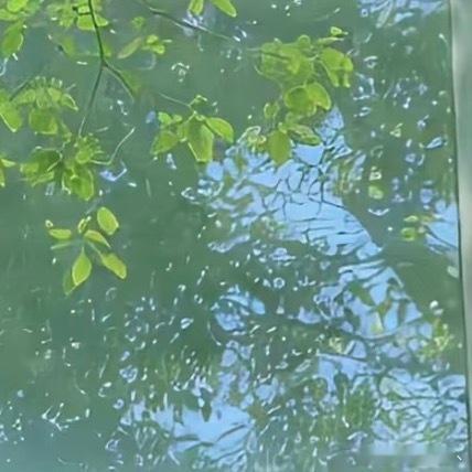 每日一善每日一善 与其羡慕他人智慧，不如自己勤奋补拙；与其羡慕他人优秀，不如自己