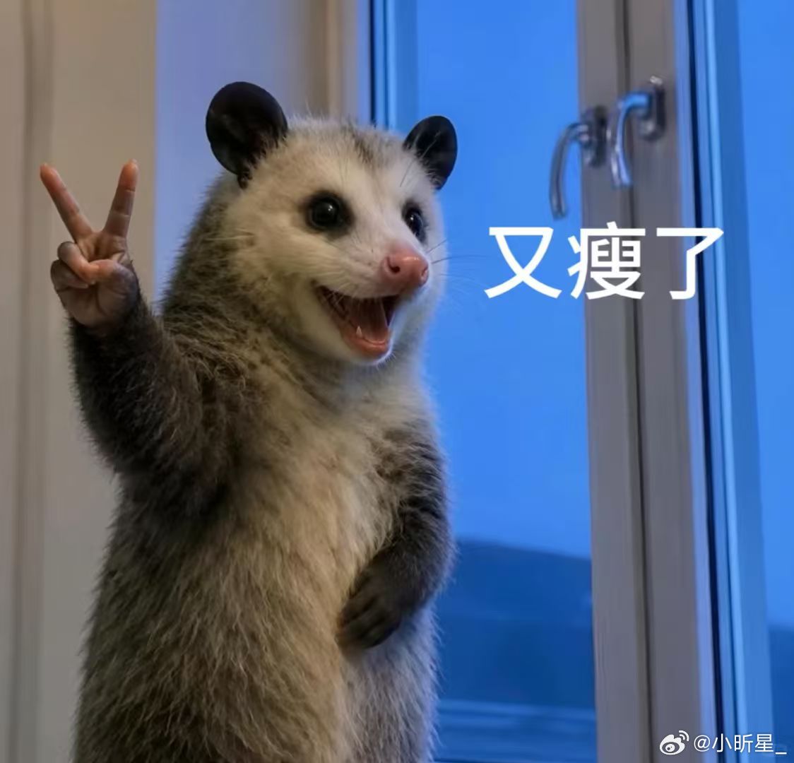 王濛全民健身的愿望实现了濛主喊大家全民健身，阿福直接接住了！一 分 钱体脂秤直接