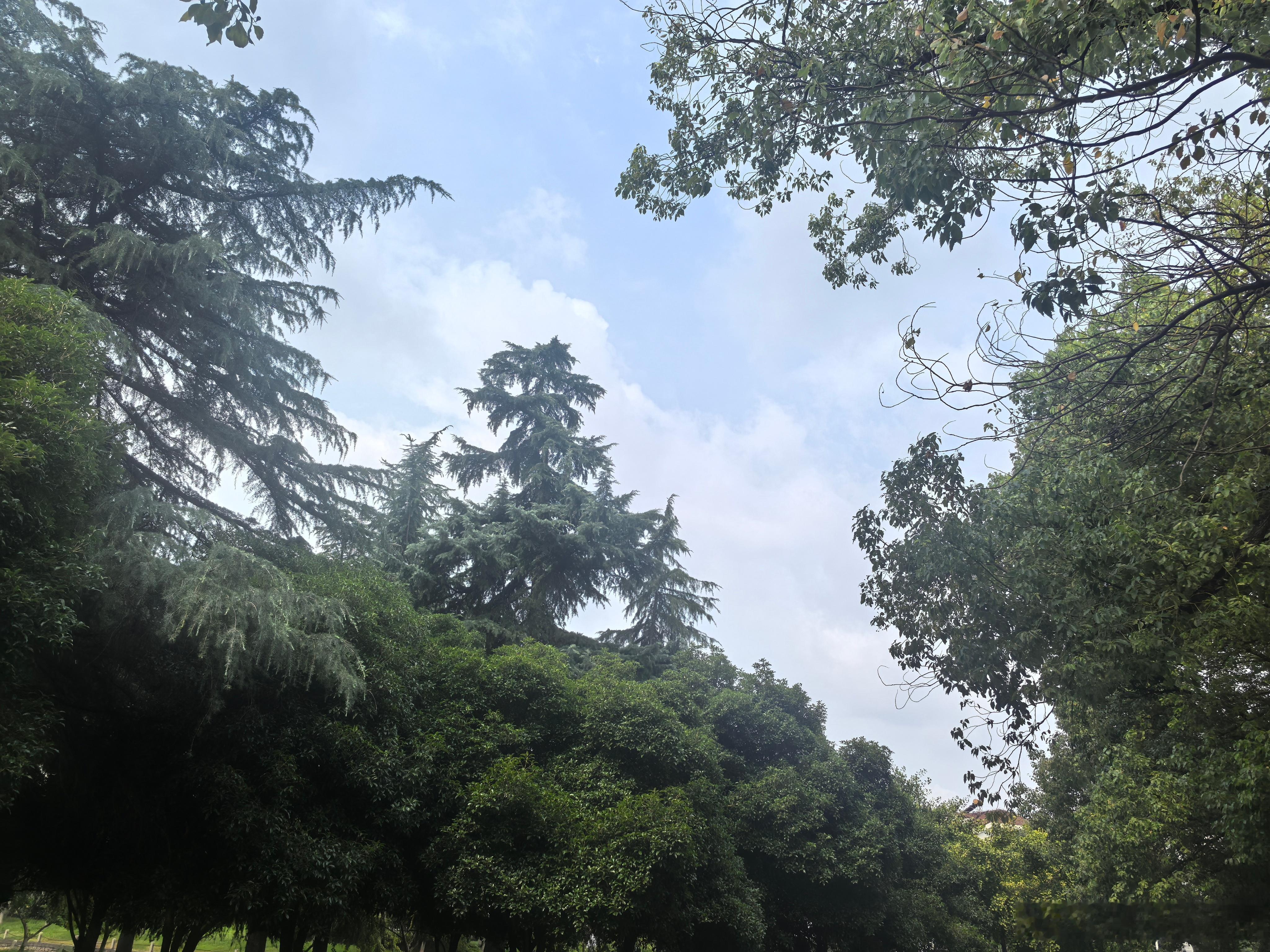 年轻人的眼里，这世界充满了眼花缭乱的机会。正因为机会太多，所以才更需要聚焦。真正