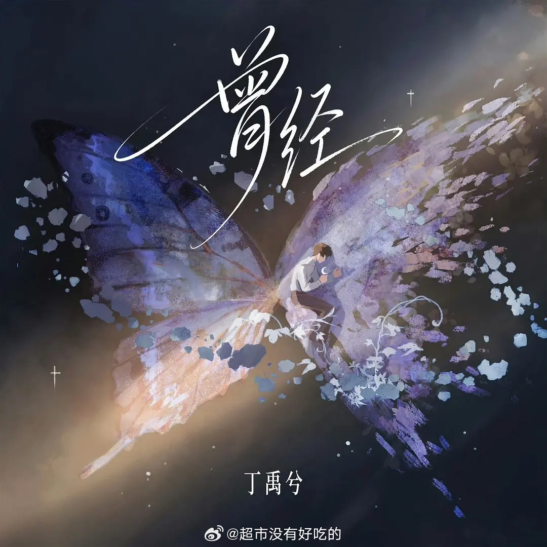 丁禹兮南洋顶级纯元丁禹兮《南部档案》角色曲《曾经》日榜第一 