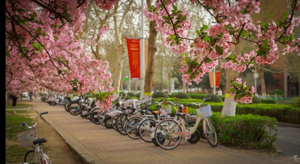 郑州大学发布情况通报网络发言当守本心     切莫肆意发表不当言论     触碰