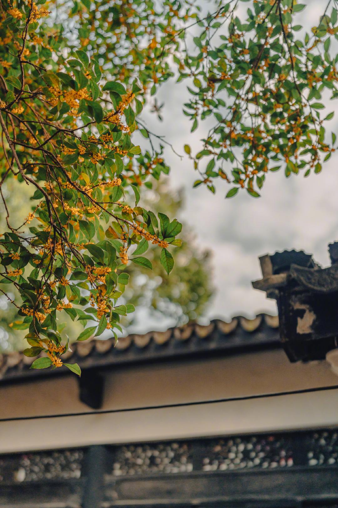 万两黄金容易得，知心一个最难求。——曹雪芹《红楼梦》