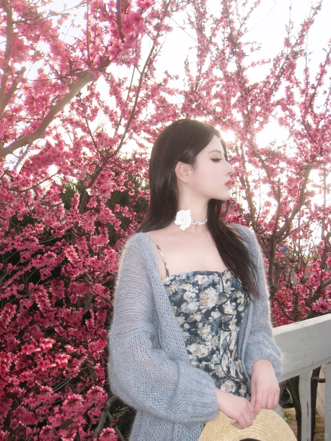 🌸🌷🌺💐夏来