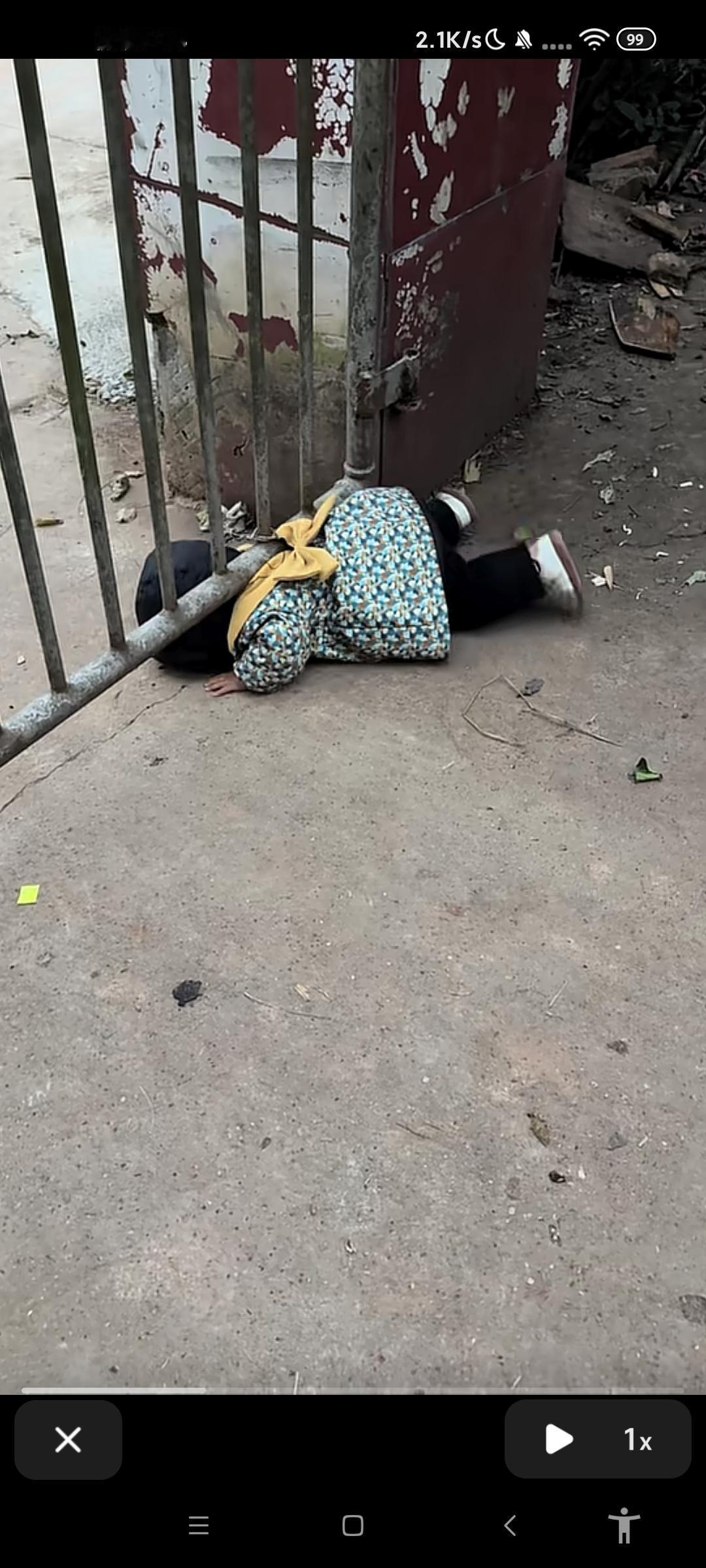 越狱成功，想起自已小时候也是这样！
一点不知道危险！[捂脸][捂脸]