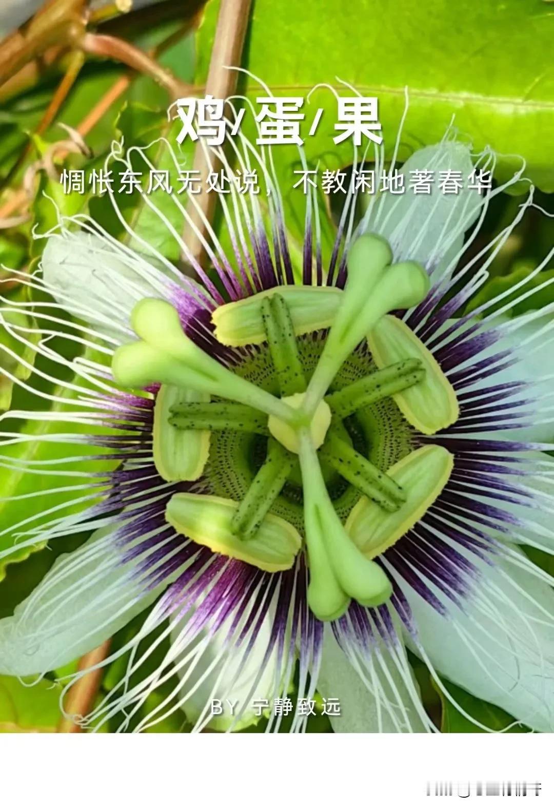 是不是很养眼。
大自然的鬼斧神工，就是让人类饱眼福，每天都开心快乐的生活。
生活