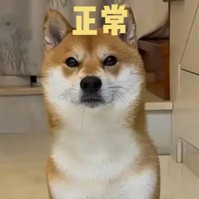 你的能力与水平轮不到你说话