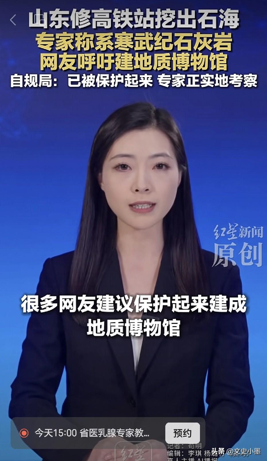 专家说了，山东宁阳修高铁挖出的那片石海，可能是是寒武纪时期形成的石灰岩，大约形成