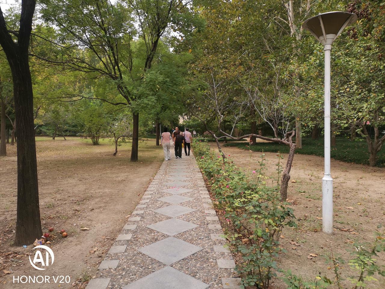 大俄有大片土地，可以出售呀，开发房地产