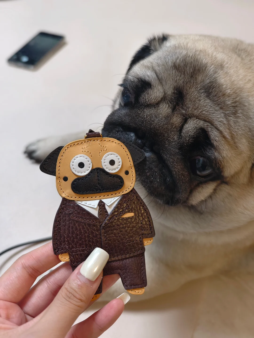 巴哥本哥已认证✅