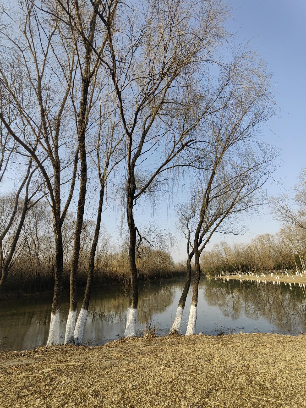 很多企业都重视创新，把创新作为核心价值理念，但他们的企业文化并不相同。
这也是前