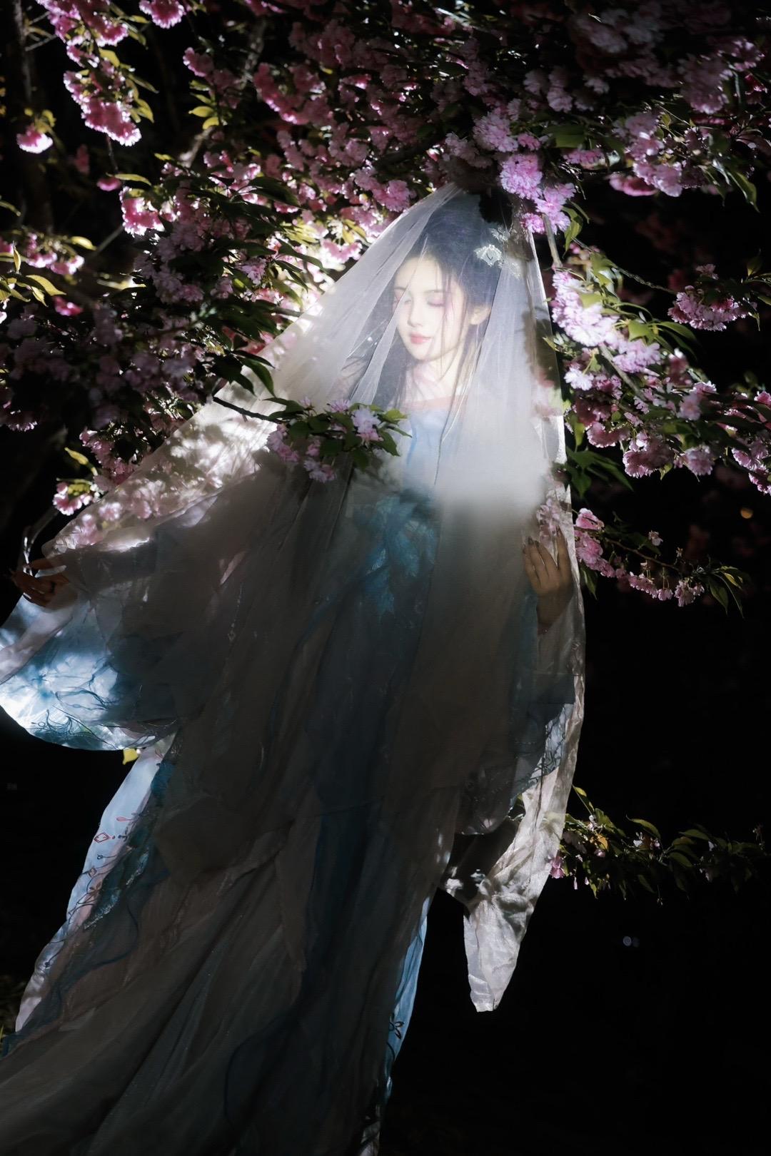 凌晨四点，我看见海棠花未眠。其实是去年拍的晚樱～ 摄/后：我