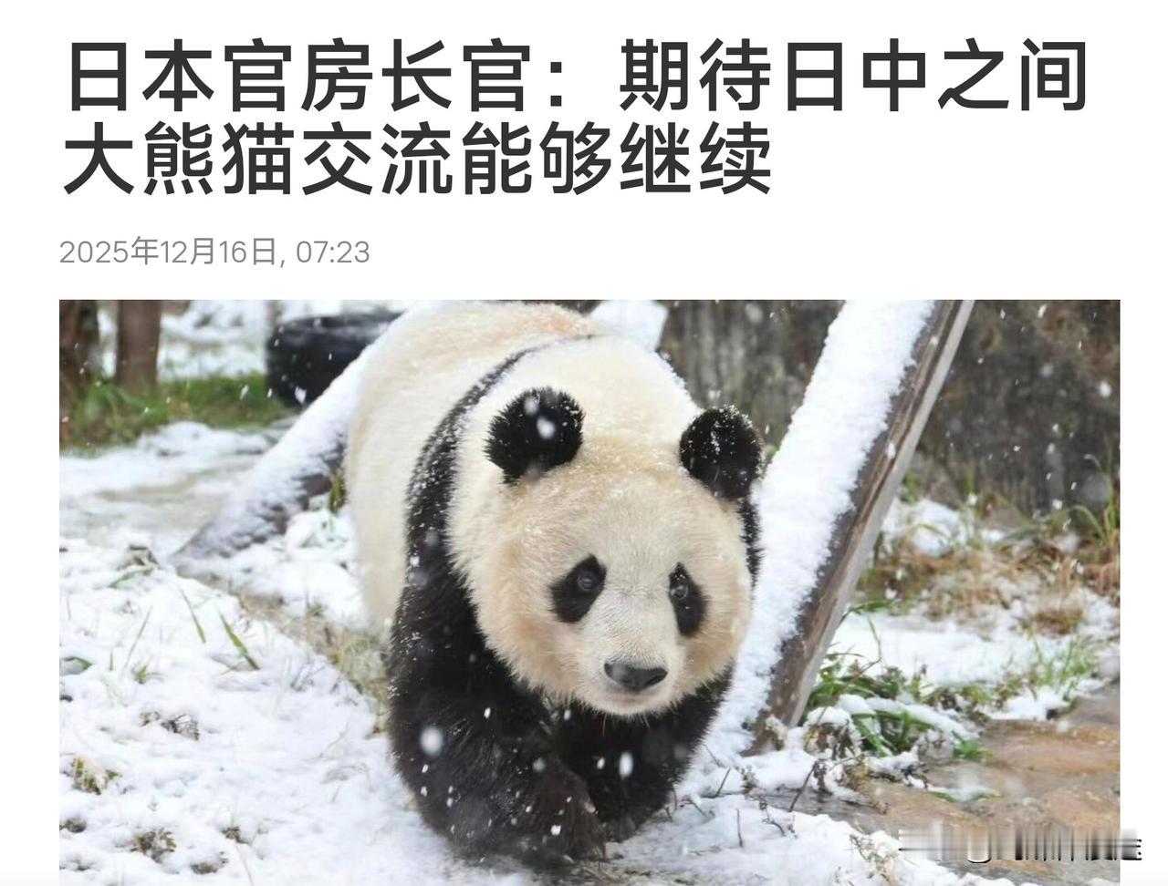 日本道德绑架！日本人喜欢大熊猫 所在日本必须有大熊猫，所以中国必须提供！更有日本