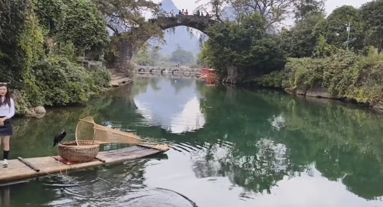 #第一批小东北虎已抵达桂林#            【桂林桂林】        