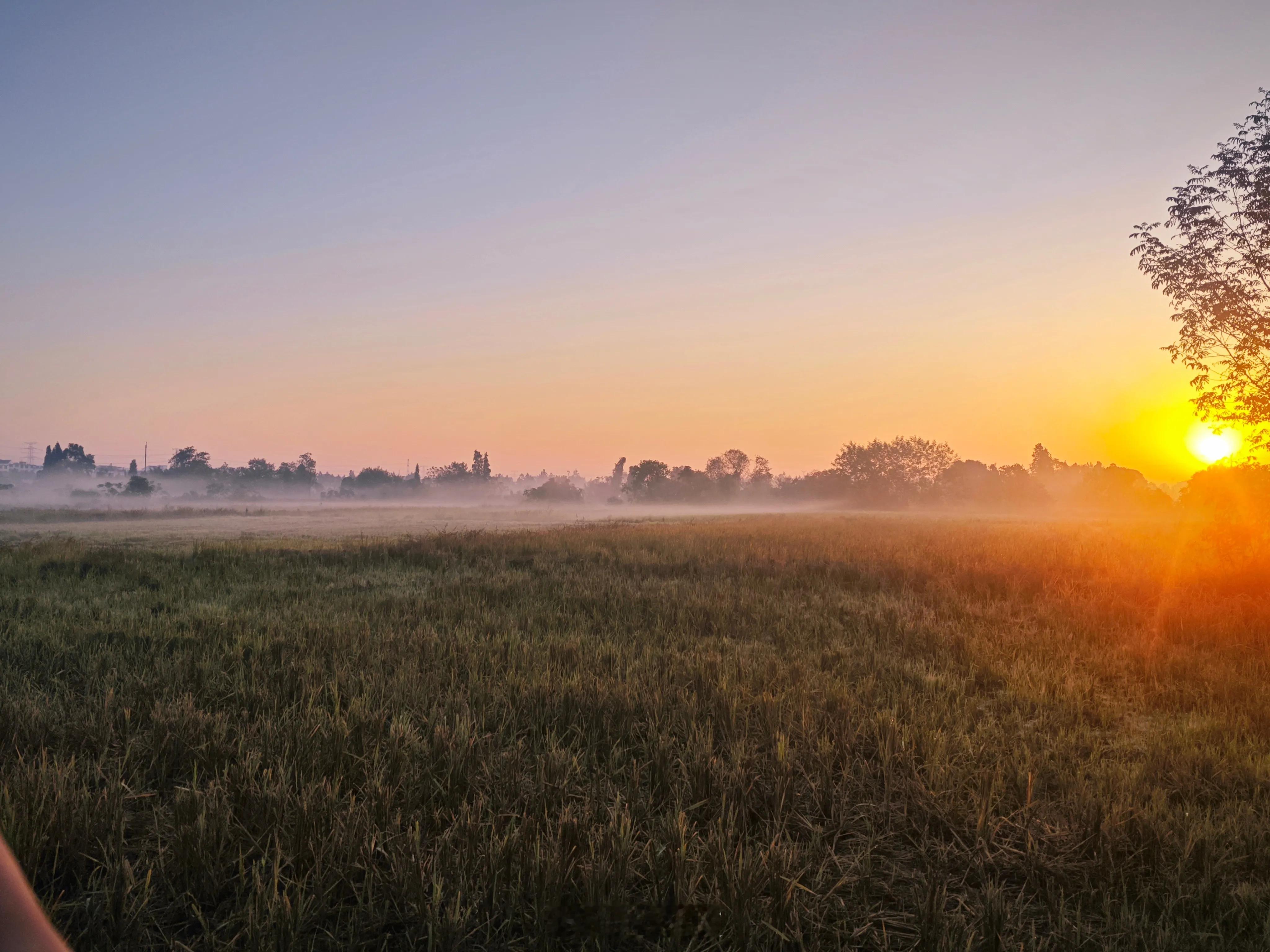 早安 尊重他人命运，放下助人情结。 