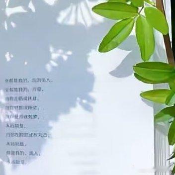 每日一善[超话]世事纷扰若星辰，世事纷扰乱人心。欲得其中真谛时，辨事两面选乐观。