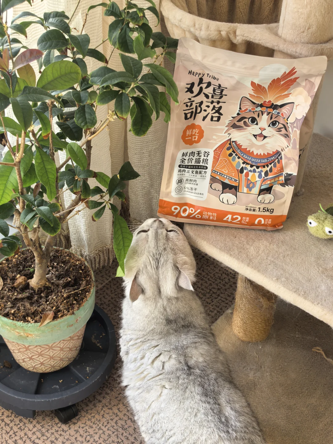 挖到一袋争气猫粮，关键它几十块呀