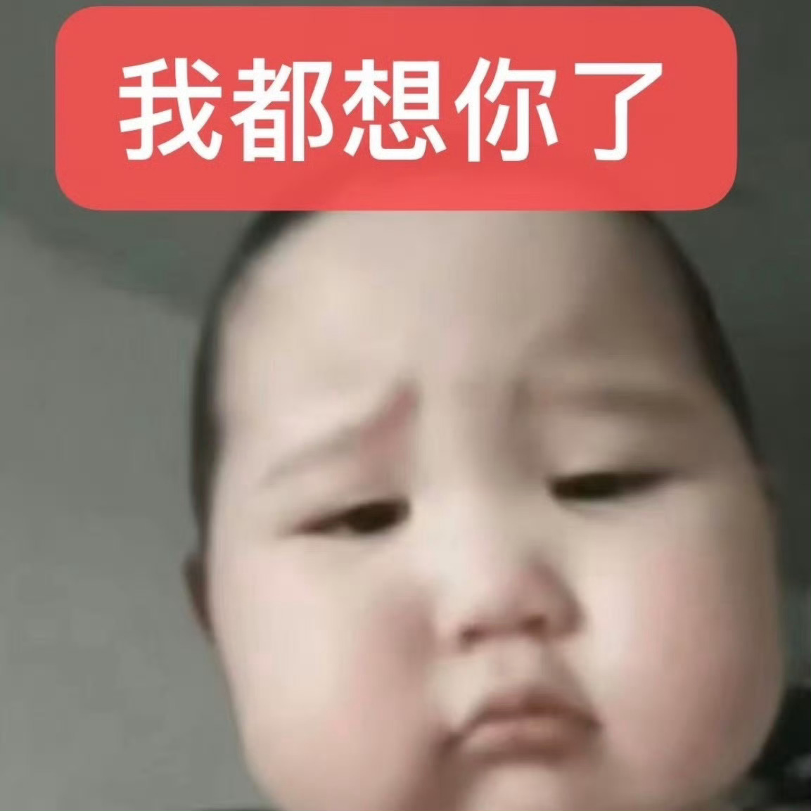 一直到月底我都会发那个一分钟视频 定时的不用管我尽量半夜发 