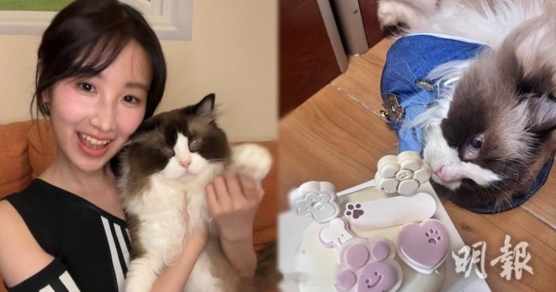 明报：詹天文为爱猫庆祝4岁生日 第一次送衫遭嫌弃“声梦小花”詹天文（Windy）