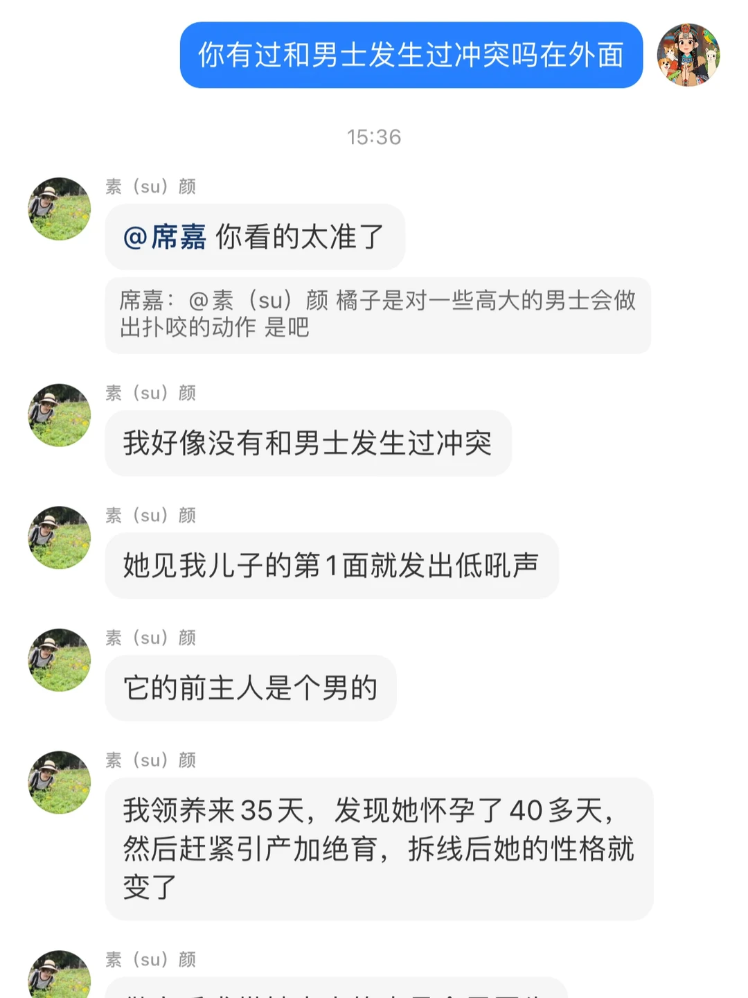 宠物沟通｜为什么狗狗狗狗咬人行为呢