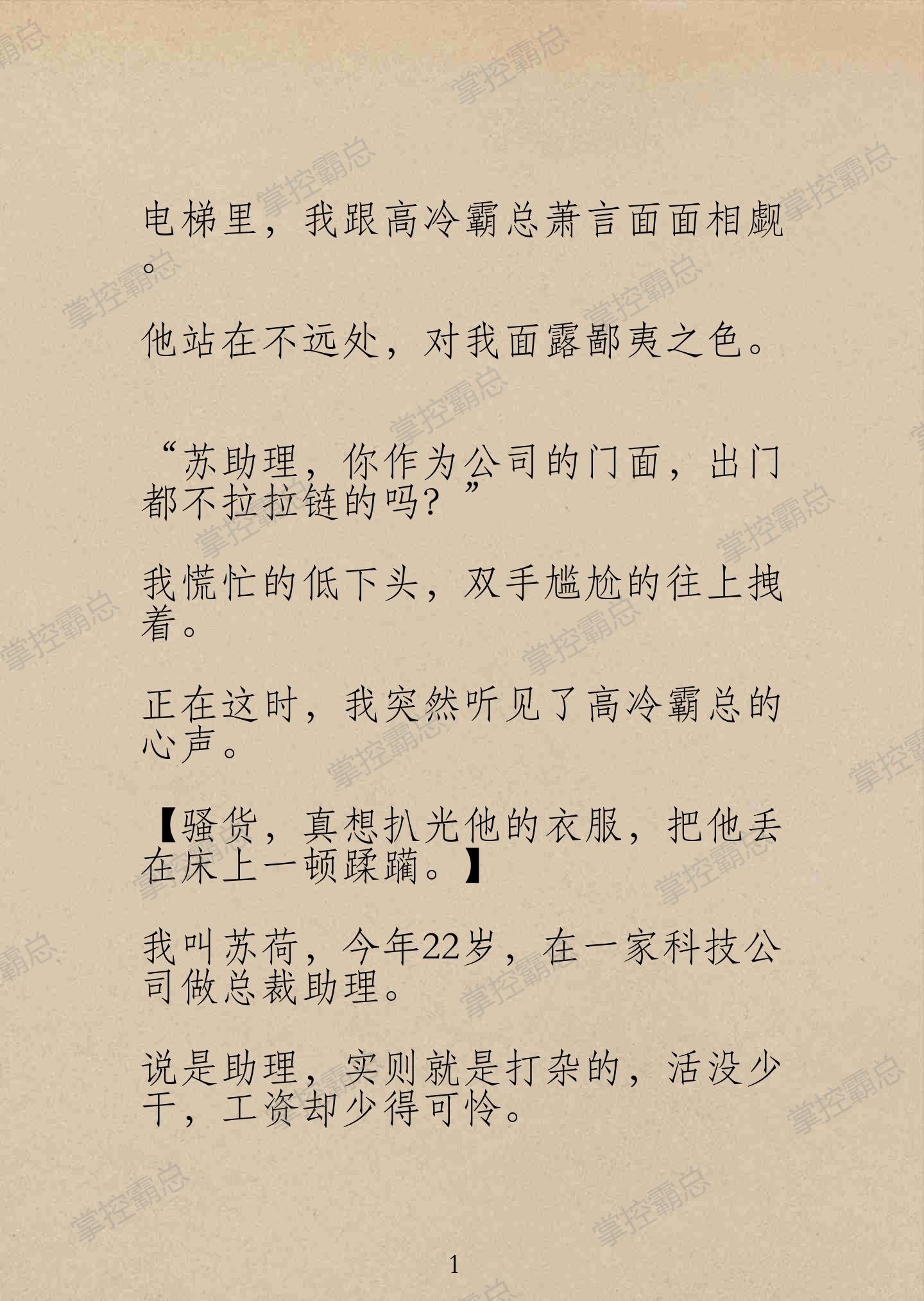 铭：掌控霸总