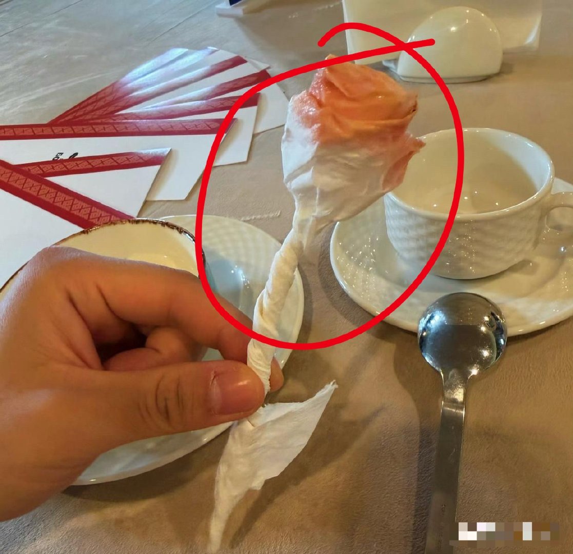 马頔这北京爷们还挺细腻懂浪漫，和妻子李纯吃着饭，然后就用纸巾做了一朵手搓玫瑰献给