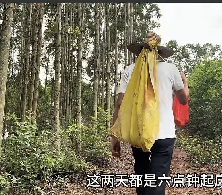 唐尚珺如今直播可以赚钱了，可是也不会多花钱，家里的树木需要除草，施肥，自己没啥时