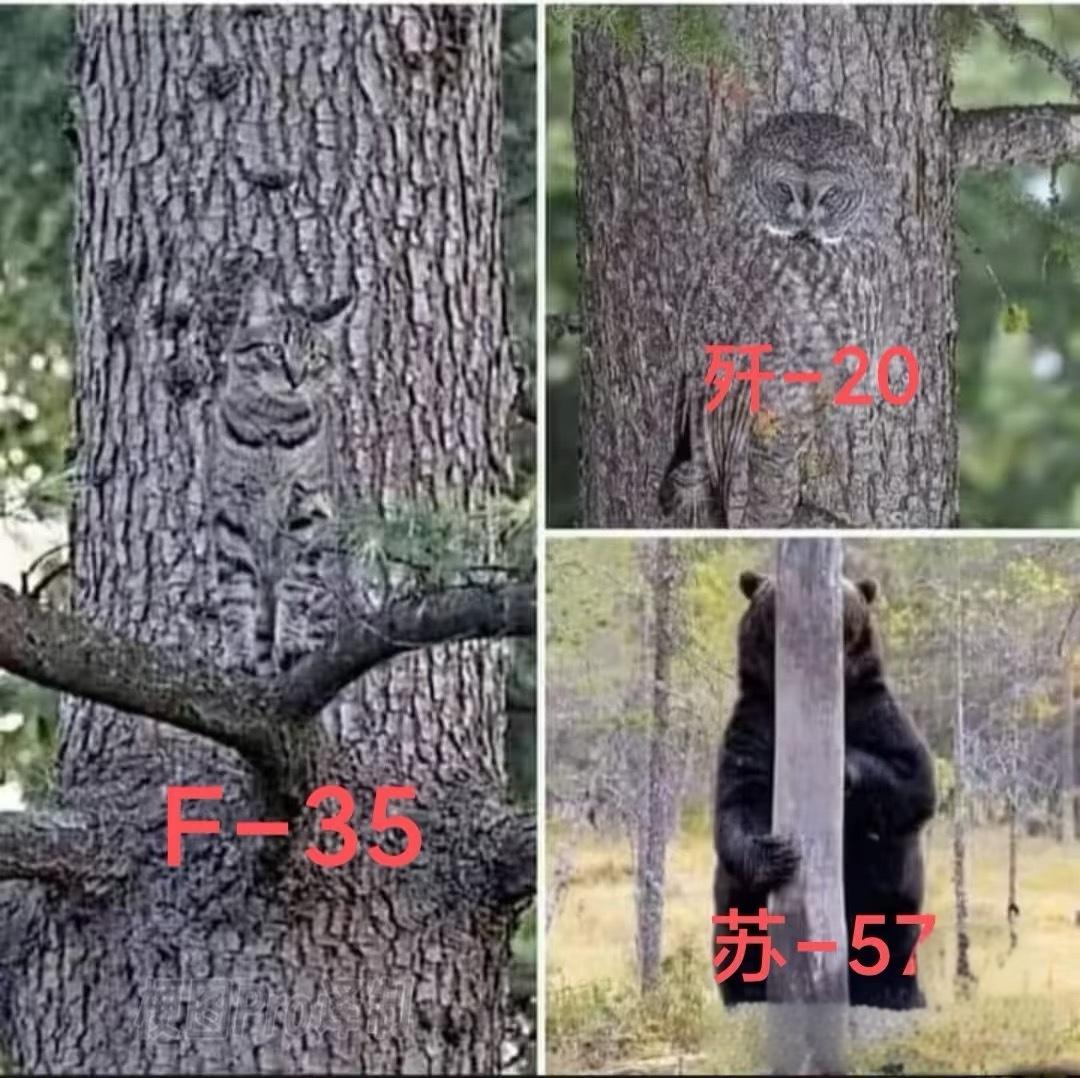 这是网友制作的中美俄三国五代机隐身性能对比！
 
别说，还挺搞笑的。
 
特别是