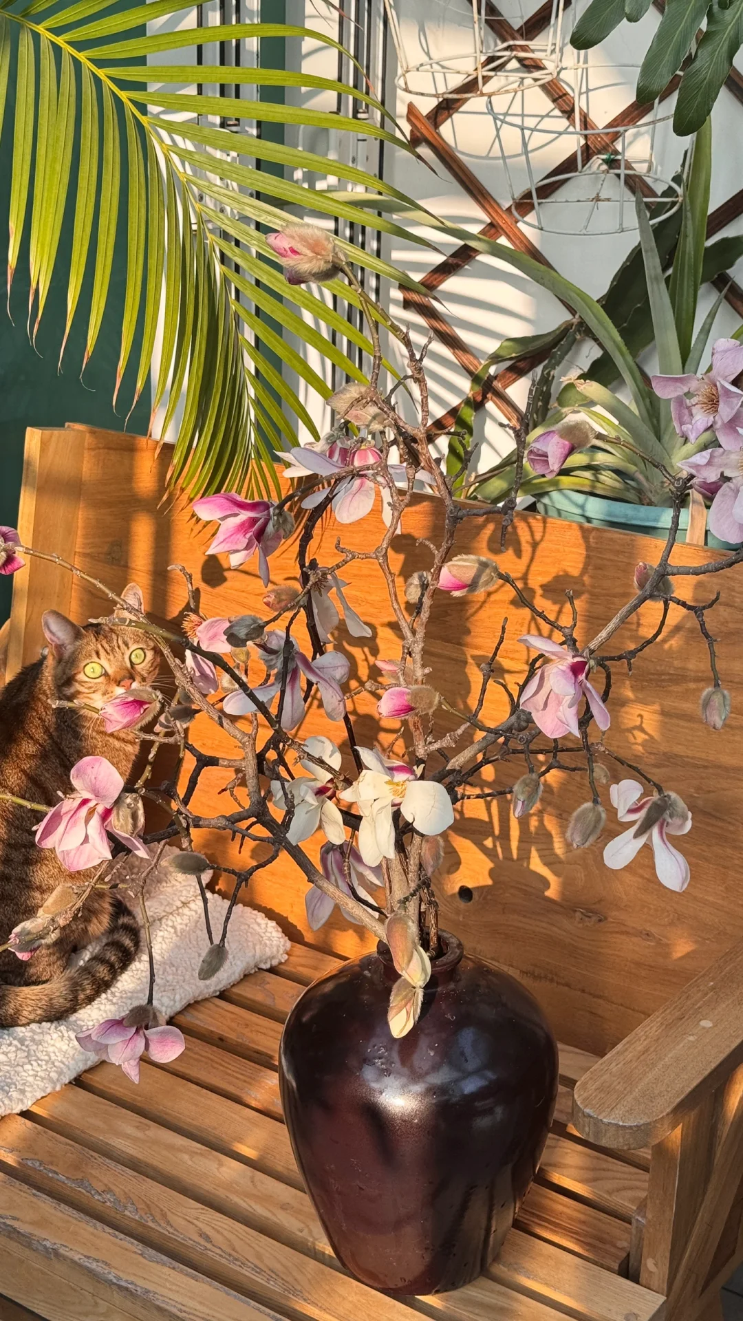 是谁下班路上捡到了玉兰花呀